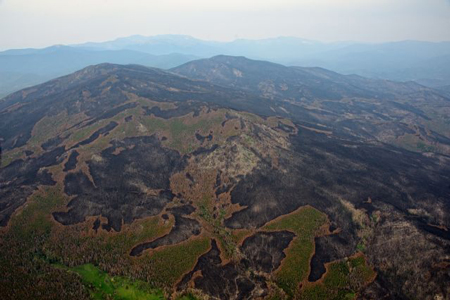 Image: The mosaic of burn intensities is especially obvious on East and West Pine Mountains Credit: Michael Menefee/LightHawk